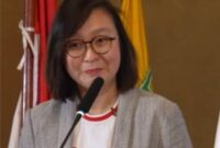 Wakil Menteri Ekonomi Kreatif/Wakil Kepala Badan Ekonomi Kreatif, Irene Umar menegaskan Indonesia memiliki kekayaan identitas budaya yang sangat besar dan perlu dikelola secara terpadu agar mampu menjadi kekuatan ekonomi kreatif bernilai global, juga menilai budaya Indonesia dapat menjadi sumber inspirasi utama dalam pengembangan IP lokal. Ia mencontohkan bagaimana kekayaan budaya dapat diolah menjadi identitas kreatif yang memiliki nilai ekonomi tinggi.