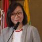 Wakil Menteri Ekonomi Kreatif/Wakil Kepala Badan Ekonomi Kreatif, Irene Umar menegaskan Indonesia memiliki kekayaan identitas budaya yang sangat besar dan perlu dikelola secara terpadu agar mampu menjadi kekuatan ekonomi kreatif bernilai global, juga menilai budaya Indonesia dapat menjadi sumber inspirasi utama dalam pengembangan IP lokal. Ia mencontohkan bagaimana kekayaan budaya dapat diolah menjadi identitas kreatif yang memiliki nilai ekonomi tinggi.