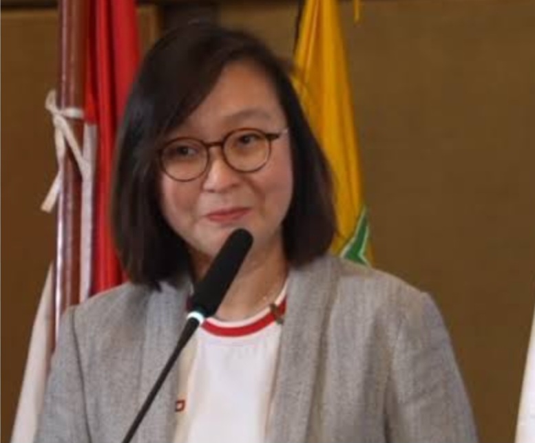 Wakil Menteri Ekonomi Kreatif/Wakil Kepala Badan Ekonomi Kreatif, Irene Umar menegaskan Indonesia memiliki kekayaan identitas budaya yang sangat besar dan perlu dikelola secara terpadu agar mampu menjadi kekuatan ekonomi kreatif bernilai global, juga menilai budaya Indonesia dapat menjadi sumber inspirasi utama dalam pengembangan IP lokal. Ia mencontohkan bagaimana kekayaan budaya dapat diolah menjadi identitas kreatif yang memiliki nilai ekonomi tinggi.