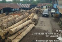 Tim gabungan dari Balai Penegakan Hukum (Gakkum) Kehutanan Wilayah Sumatera menemukan sebanyak 1.677 batang kayu glondongan yang diduga berasal dari pembalakan ilegal di lima perusahaan pengolahan kayu di Kecamatan Kisaran Timur, Kabupaten Asahan, Sumatera Utara.