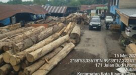 Tim gabungan dari Balai Penegakan Hukum (Gakkum) Kehutanan Wilayah Sumatera menemukan sebanyak 1.677 batang kayu glondongan yang diduga berasal dari pembalakan ilegal di lima perusahaan pengolahan kayu di Kecamatan Kisaran Timur, Kabupaten Asahan, Sumatera Utara.