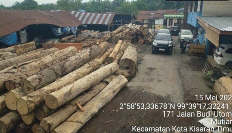 Tim gabungan dari Balai Penegakan Hukum (Gakkum) Kehutanan Wilayah Sumatera menemukan sebanyak 1.677 batang kayu glondongan yang diduga berasal dari pembalakan ilegal di lima perusahaan pengolahan kayu di Kecamatan Kisaran Timur, Kabupaten Asahan, Sumatera Utara.