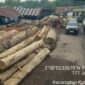 Tim gabungan dari Balai Penegakan Hukum (Gakkum) Kehutanan Wilayah Sumatera menemukan sebanyak 1.677 batang kayu glondongan yang diduga berasal dari pembalakan ilegal di lima perusahaan pengolahan kayu di Kecamatan Kisaran Timur, Kabupaten Asahan, Sumatera Utara.