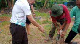Ketua PWI Provinsi Jambi, H Ridua Agus Dalam menyambut Hari Raya Idul Adha 1447 Hijriah, Persatuan Wartawan Indonesia (PWI) Provinsi Jambi kembali melaksanakan penyembelihan 3 ekor sapi hewan kurban sebagai bentuk kepedulian sosial dan kebersamaan antaranggota.
