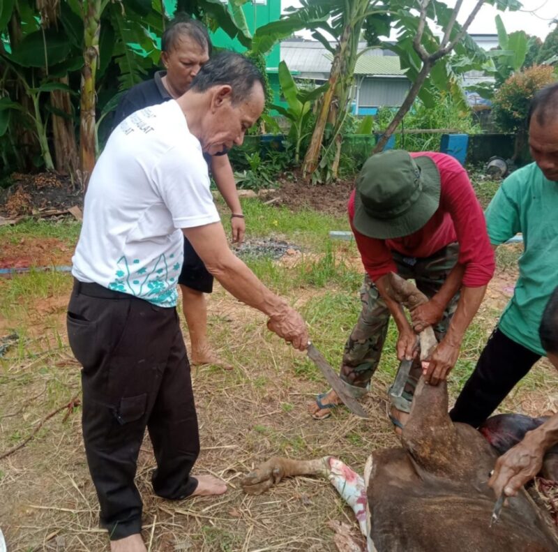 Ketua PWI Provinsi Jambi, H Ridua Agus Dalam menyambut Hari Raya Idul Adha 1447 Hijriah, Persatuan Wartawan Indonesia (PWI) Provinsi Jambi kembali melaksanakan penyembelihan 3 ekor sapi hewan kurban sebagai bentuk kepedulian sosial dan kebersamaan antaranggota.

