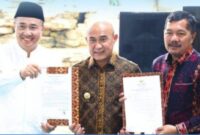 Menurut pandangan tersebut, Bupati Kerinci Monadi dan Wali Kota Sungai Penuh Alfin semestinya mendorong agar terdapat komitmen bersama terkait pengembangan dan keterhubungan Bandara Depati Parbo dengan Bandara Muara Bungo.
