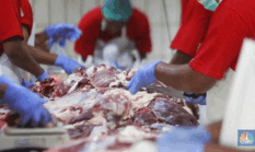 Jangan Asal Simpan! Ini Cara Ampuh Bikin Daging Kurban Tahan Lama