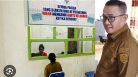 Walikita Alfin organisasi UPTD, Kepala Puskesmas merupakan Unit Pelaksana Teknis yang  keberada di bawah dan bertanggung jawab langsung kepada Kepala Dinas Kesehatan.