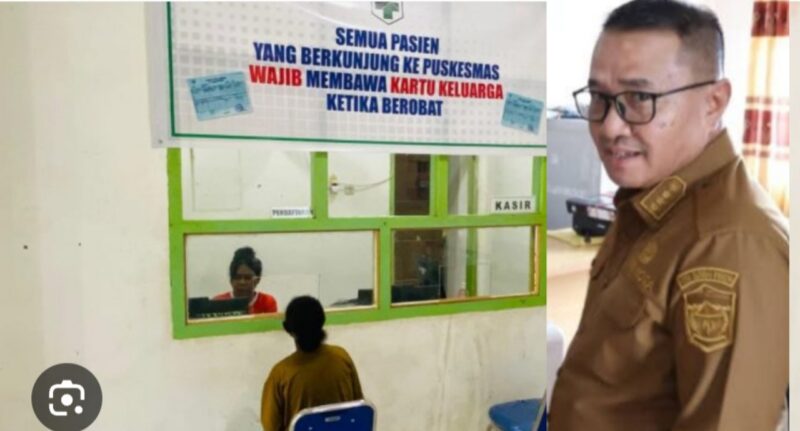 Walikita Alfin organisasi UPTD, Kepala Puskesmas merupakan Unit Pelaksana Teknis yang  keberada di bawah dan bertanggung jawab langsung kepada Kepala Dinas Kesehatan.