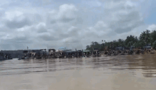 Aktivitas tambang emas ilegal dalam skala besar di Desa Teluk Langkap, Kecamatan Sumay, Kabupaten Tebo, Jambi disebut telah menyebabkan kerusakan hutan dan pencemaran lingkungan.