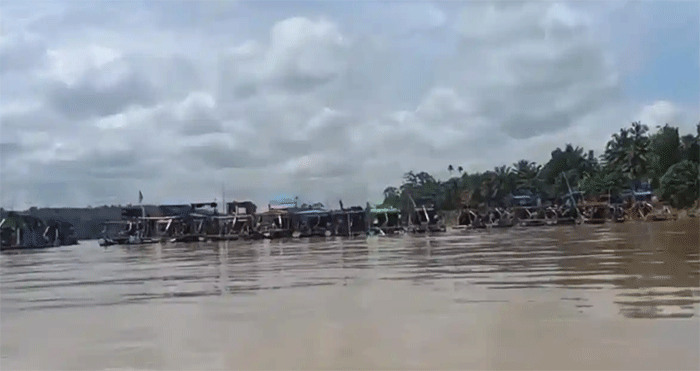 Aktivitas tambang emas ilegal dalam skala besar di Desa Teluk Langkap, Kecamatan Sumay, Kabupaten Tebo, Jambi disebut telah menyebabkan kerusakan hutan dan pencemaran lingkungan. 
