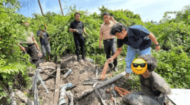 2 pelaku pencurian kabel bawah tanah milik PT PLN di kawasan Kelurahan Tanjung Sari, Kecamatan Jambi Timur, Kota Jambi ditangkap Polsek Jambi Timur 


Artikel ini telah tayang di TribunJambi.com dengan judul 2 Pelaku Pencurian Kabel Bawah Tanah Milik PLN di Jambi Timur Ditangkap Polisi, https://jambi.tribunnews.com/makalam/1199048/2-pelaku-pencurian-kabel-bawah-tanah-milik-pln-di-jambi-timur-ditangkap-polisi?page=2.
Penulis: Srituti Apriliani Putri | Editor: Suci Rahayu PK