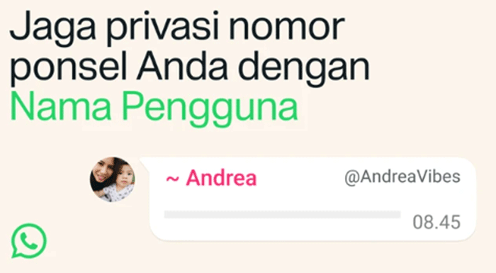 WhatsApp rilis fitur Username yang memungkinkan pengguna berkomunikasi tanpa harus membagikan nomor telepon. Foto: WhatsApp