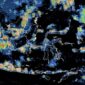 Poto statlit pergerakan El nino,Sekretaris Jenderal Perserikatan Bangsa-Bangsa, António Guterres, menegaskan bahwa dunia harus bersiap menghadapi dampak El Nino yang diperkirakan akan pemerintah berbagai negara, termasuk Indonesia, diimbau memperkuat langkah mitigasi dan kesiapsiagaan sejak dini, terutama dalam sektor ketahanan pangan, pengelolaan sumber daya air, kesehatan masyarakat, serta penanggulangan bencana.
