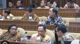 Menteri Dalam Negeri (Mendagri) Muhammad Tito Karnavian menegaskan pemerintah tidak menginginkan adanya pemberhentian Pegawai Pemerintah dengan Perjanjian Kerja (PPPK) maupun tenaga honorer di lingkungan pemerintah daerah. Sebaliknya, pemerintah daerah diminta untuk tidak lagi melakukan perekrutan tenaga honorer baru apaun alasannya.