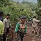 Warga Desa Dalam Kecamaran Bukit Karman  saat bergotoroyong memperbaiki Jalan kabupaten itu merupakan urat nadi perekonomian masyarakat Bukit Kerman. Selain menghubungkan sejumlah desa, akses tersebut juga menjadi jalur utama pengangkutan hasil pertanian dan perkebunan warga.