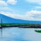Danau Rawa Pening dilirik Investor Dalam Negeri yang berminat dijadikan Destitadi obyek wisata air unggulan di Jawa Tengah
