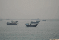 Kapal-kapal berlabuh di Selat Hormuz , seperti terlihat dari Musandam, Oman, 11 Juni 2026. Foto: REUTERS/Stringer
