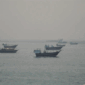 Kapal-kapal berlabuh di Selat Hormuz , seperti terlihat dari Musandam, Oman, 11 Juni 2026. Foto: REUTERS/Stringer