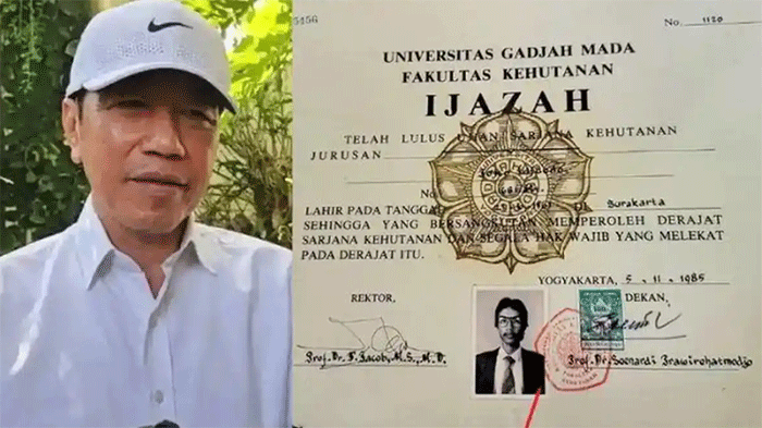 Kolase foto Jokowi dan ijazahnya. Tim penasihat hukum Roy Suryo membongkar paradoks besar dalam kasus dugaan pencemaran nama baik terkait keabsahan ijazah Presiden ke-7 Joko Widodo atau Jokowi.  