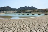Fenomena El nino,lonjakan suhu udara harus diwaspadai,kebakaran,kesehatan,