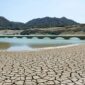Fenomena El nino,lonjakan suhu udara harus diwaspadai,kebakaran,kesehatan,