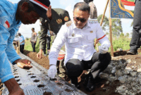 Wako Alfin ikut menanam bawang putih di Kayu Aro