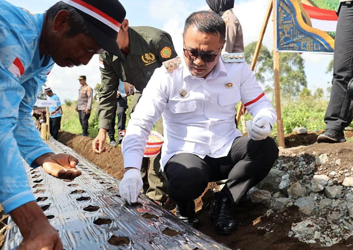 Wako Alfin ikut menanam bawang putih di Kayu Aro
