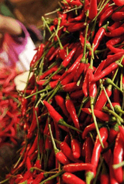 Harga Pangan Nasional 26 Agustus: Cabai Rawit Rp64.100, Telur Ayam Rp28.800 per Kg