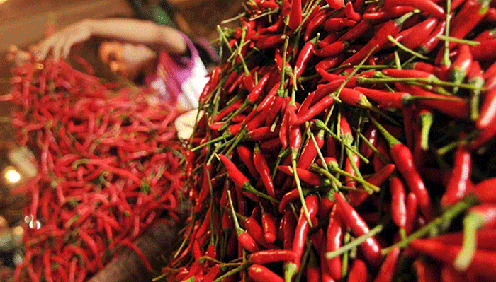 Arsip foto - Ilustrasi - Pedagang menata cabai rawit merah dagangannya di pasar senen, Jakarta.