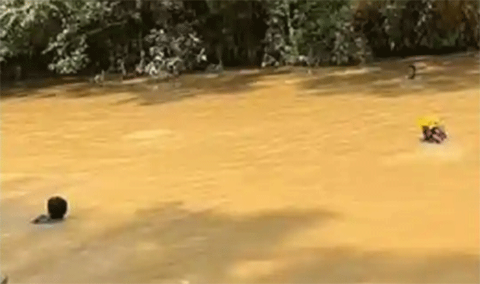 Seorang lanjut usia (lansia) di warga Desa Sungai Ulak, Kecamatan Nalo Tantan, Merangin, Jambi tenggelam di Sungai Nalo Tantan pada Selasa (4/8/2026) sore saat mandi. 