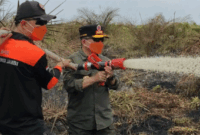 Gubernur Jambi Al Haris saat turun Langsung Padamkan Karhutla di Muaro Jambi.