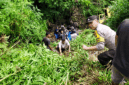 Truk Mitsubishi Canter terjun ke jurang sedalam 30 meter di KM 14 Puncak Sungai Penuh–Tapan.
