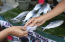 Foto: Pedagang ikan (CNBC Indonesia/Tri Susilo)