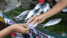 Foto: Pedagang ikan (CNBC Indonesia/Tri Susilo)