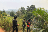 Tim satbrimob Polda Jambi saat patroli di lahan konservasi Gajah. (ANTARA/HO/Humas Polda Jambi)