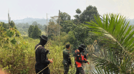 Tim satbrimob Polda Jambi saat patroli di lahan konservasi Gajah. (ANTARA/HO/Humas Polda Jambi)