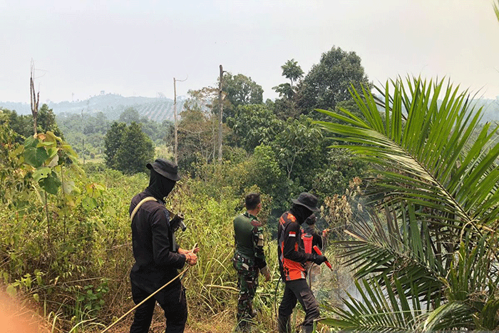 Tim satbrimob Polda Jambi saat patroli di lahan konservasi Gajah. (ANTARA/HO/Humas Polda Jambi)
