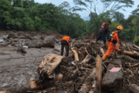 Tim SAR melakukan pencarian korban dari bencana banjir bandang di Solok, Sumatera Barat (Sumbar) pada Selasa (22/9). ANTARA/HO-SARPadang