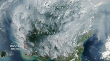 Citra satelit Aqua MODIS menunjukkan kabut asap dan hotspot di Indonesia-Malaysia, 1 September 2026. Foto: Dok NASA Earth