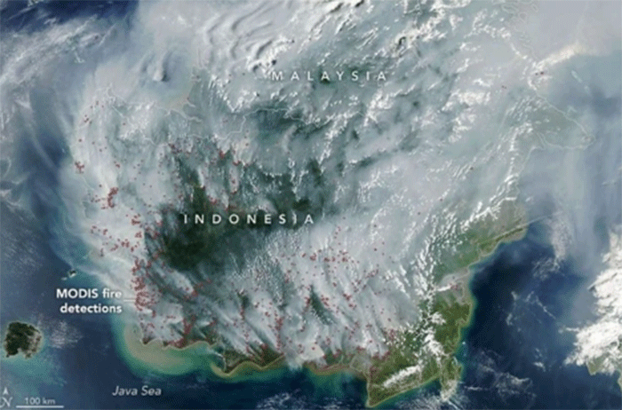 Citra satelit Aqua MODIS menunjukkan kabut asap dan hotspot di Indonesia-Malaysia, 1 September 2026. Foto: Dok NASA Earth