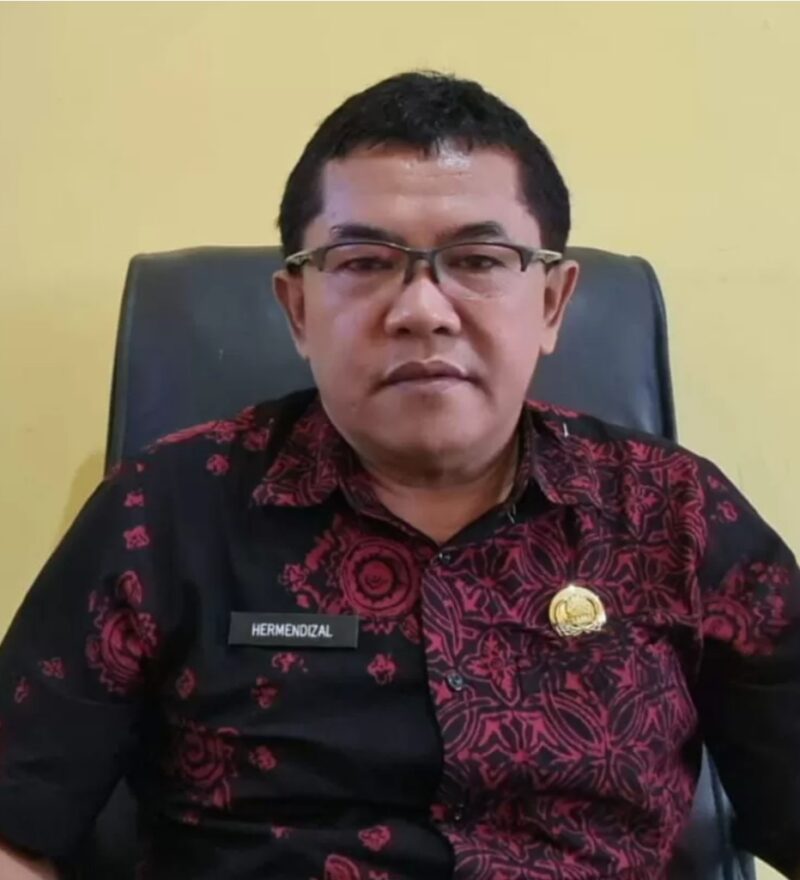 Kadis Kesehatan Kerinci H Hermendizal, SE., SKM., MM,