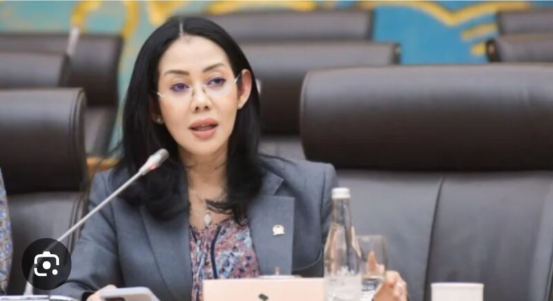 Anggota Badan Sosialisasi MPR RI dari Fraksi Partai Demokrat, Nurwayah.