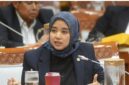 Anggota Komisi VIII DPR RI Dini Rahmania Ingatkan Keselamatan WNI