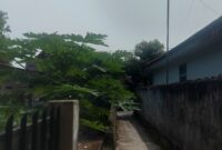 Suasana cerah DiMinggu pagi ini