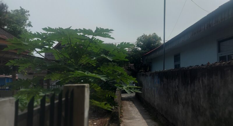Suasana cerah DiMinggu pagi ini