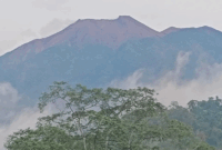 Kegiatan wisata pendakian Gunung Kerinci dan sejumlah gunung di kawasan TNKS kembali di buka. Pembukaan kembali itu menindaklanjuti Memorandum Direktur Jenderal Konservasi Sumber Daya Alam dan Ekosistem (KSDAE). (ANTARA/HO-Seksi SPTN Wilayah I BBTNKS.)